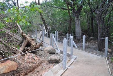 Camino reformado en uno de los senderos del parque.