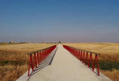 El Grupo Tragsa ha realizado diferentes actuaciones para la recuperación del camino