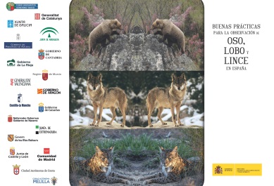 Cartel Buenas Prácticas para la Observación de Oso, Lobo y Lince en España