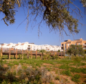 Los Premios Andalucía de Urbanismo reconocen la actuación en el Parque Metropolitano Olivar de El Zaudín, en Tomares (Sevilla)