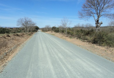 Camino rural Sejas-Tola (Zamora)