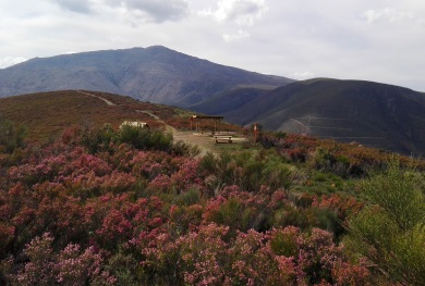 Camino Natural río Rivera de Acebo 