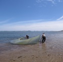 ¿Cómo ha afectado el estado del Mar Menor a los peces?