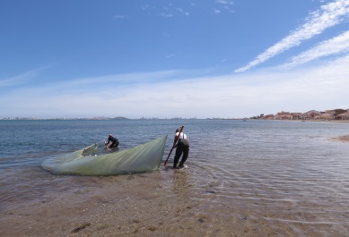 Trabajos en el Mar Menor