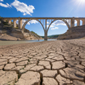 Día Mundial de Lucha contra la Desertificación y la Sequía