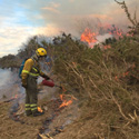 La Dirección General de Desarrollo Rural, Innovación y Política Forestal celebra la “Jornada de Conmemoración de 50 años de conocimiento y prevención de incendios en España”