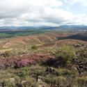 ​Restauración de la presa de Alcorlo