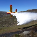 ​Más de 1.800 profesionales del Grupo Tragsa intervienen en la campaña de incendios 2021