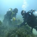 ​Dos buenas prácticas del Grupo Tragsa, incluidas en el catálogo de Buenas Prácticas Ambientales de la CEOE